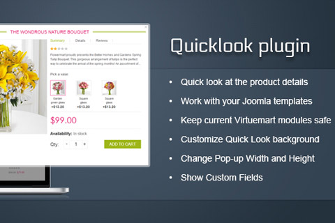 Joomla extension Product Quick-Look
