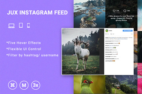 Joomla extension JUX Instagram Feed