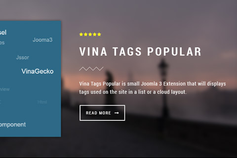 Joomla extension Vina Tags Popular