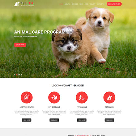 SKT Themes Pet Care Pro