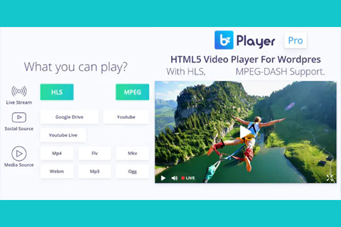 WordPress plugin CodeCanyon bzPlayer Pro