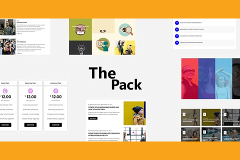 WordPress plugin CodeCanyon The Pack