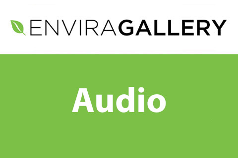 Envira Gallery Audio