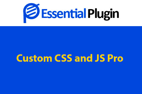 WordPress plugin Custom CSS and JS Pro