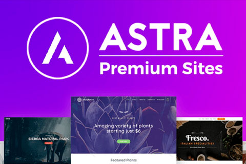 WordPress plugin Astra Premium Sites