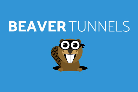 WordPress plugin Beaver Tunnels