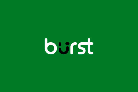 WordPress plugin Burst Pro