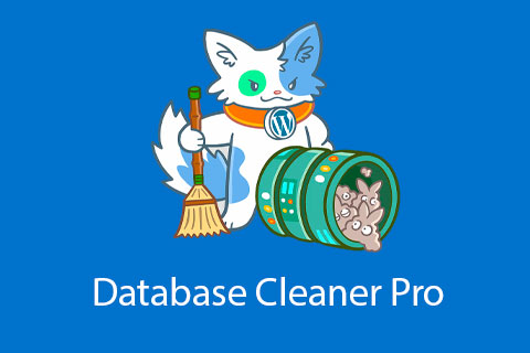 WordPress plugin Database Cleaner Pro