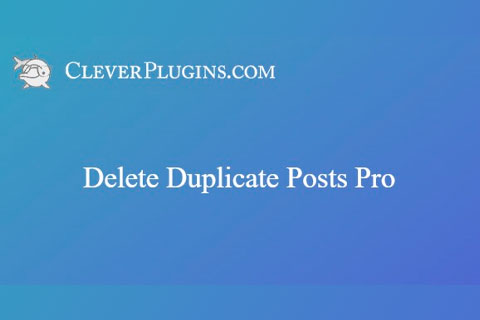 WordPress plugin Delete Duplicate Posts Pro