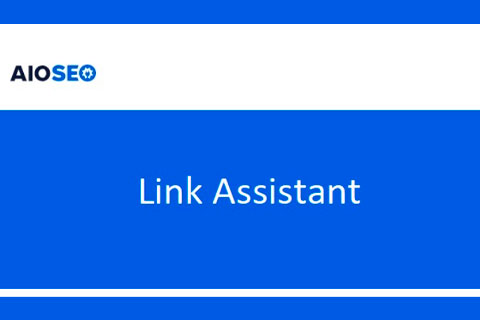 AIOSEO Link Assistant