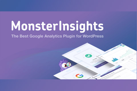 WordPress plugin MonsterInsights Pro