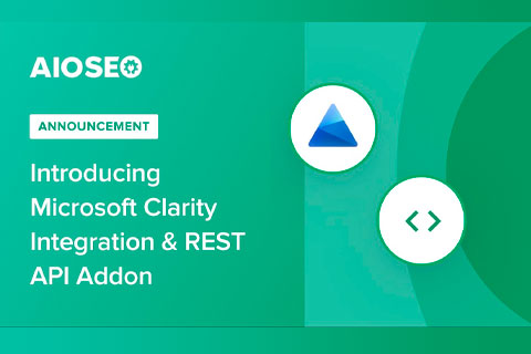 AIOSEO REST API