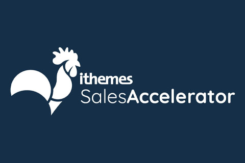 WordPress plugin iThemes Sales Accelerator Pro