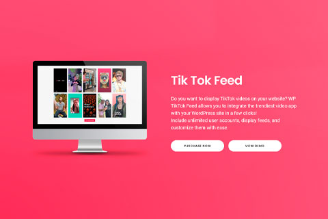 Tik Tok Feed