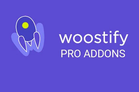 WordPress plugin Woostify Pro