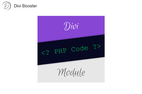 WordPress plugin Divi PHP Code