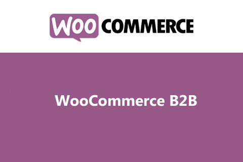 WordPress plugin WooCommerce B2B