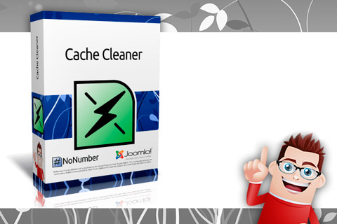 cache http ccleaner.pro
