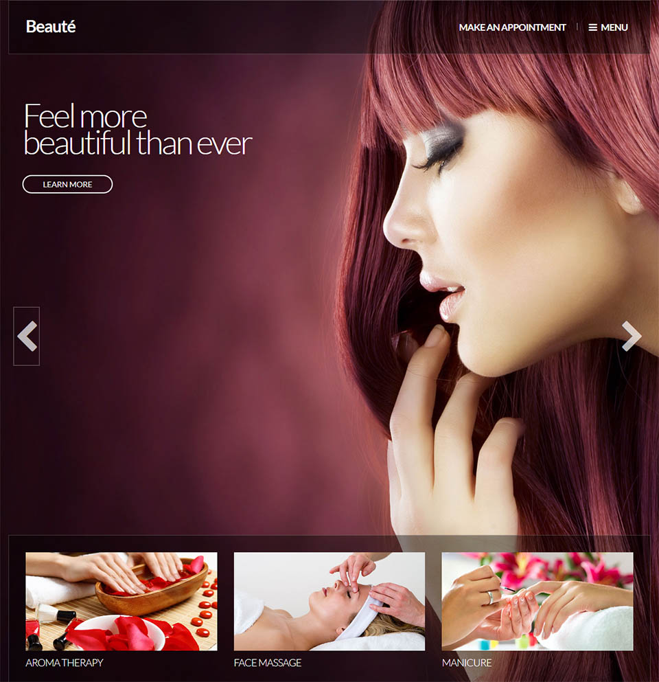 WordPress template CSSIgniter Beaute