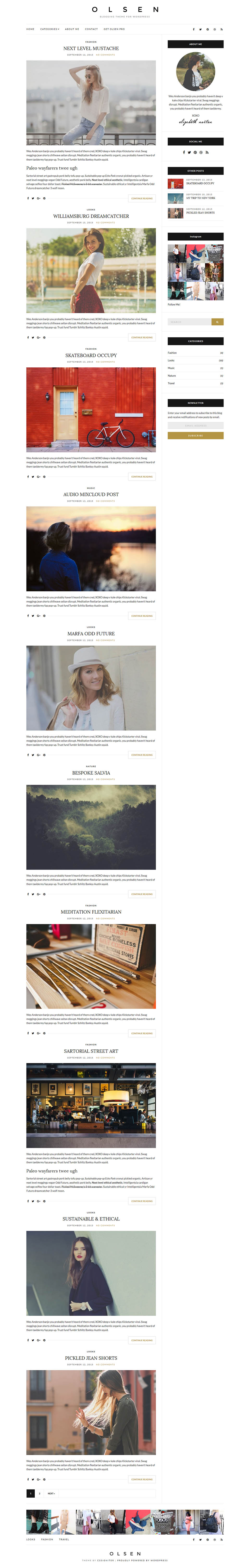 WordPress template CSSIgniter Olsen Light