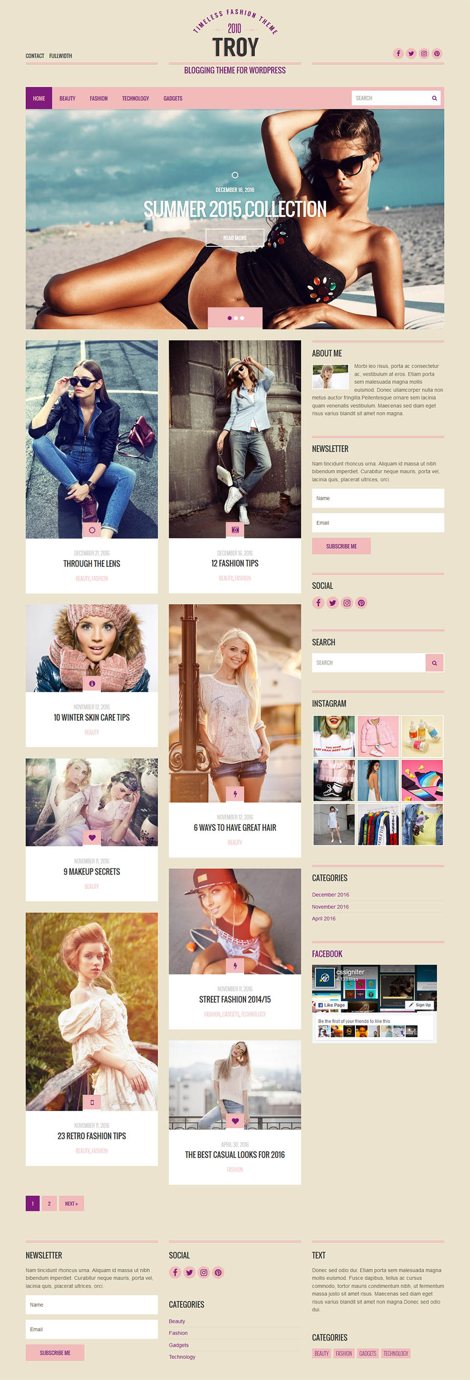 WordPress template CSSIgniter Troy