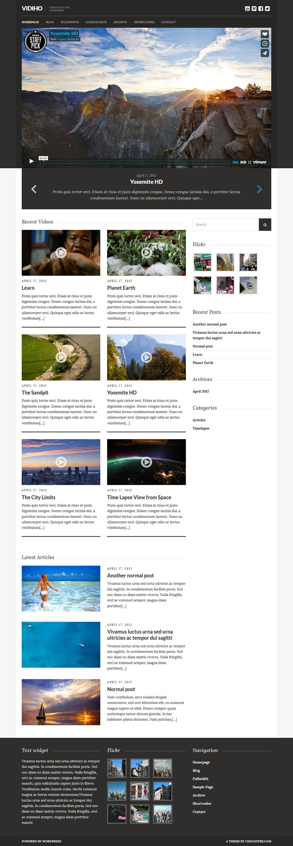 WordPress template CSSIgniter Vidiho