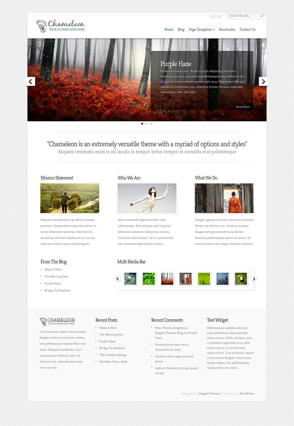 WordPress template ElegantThemes Chameleon