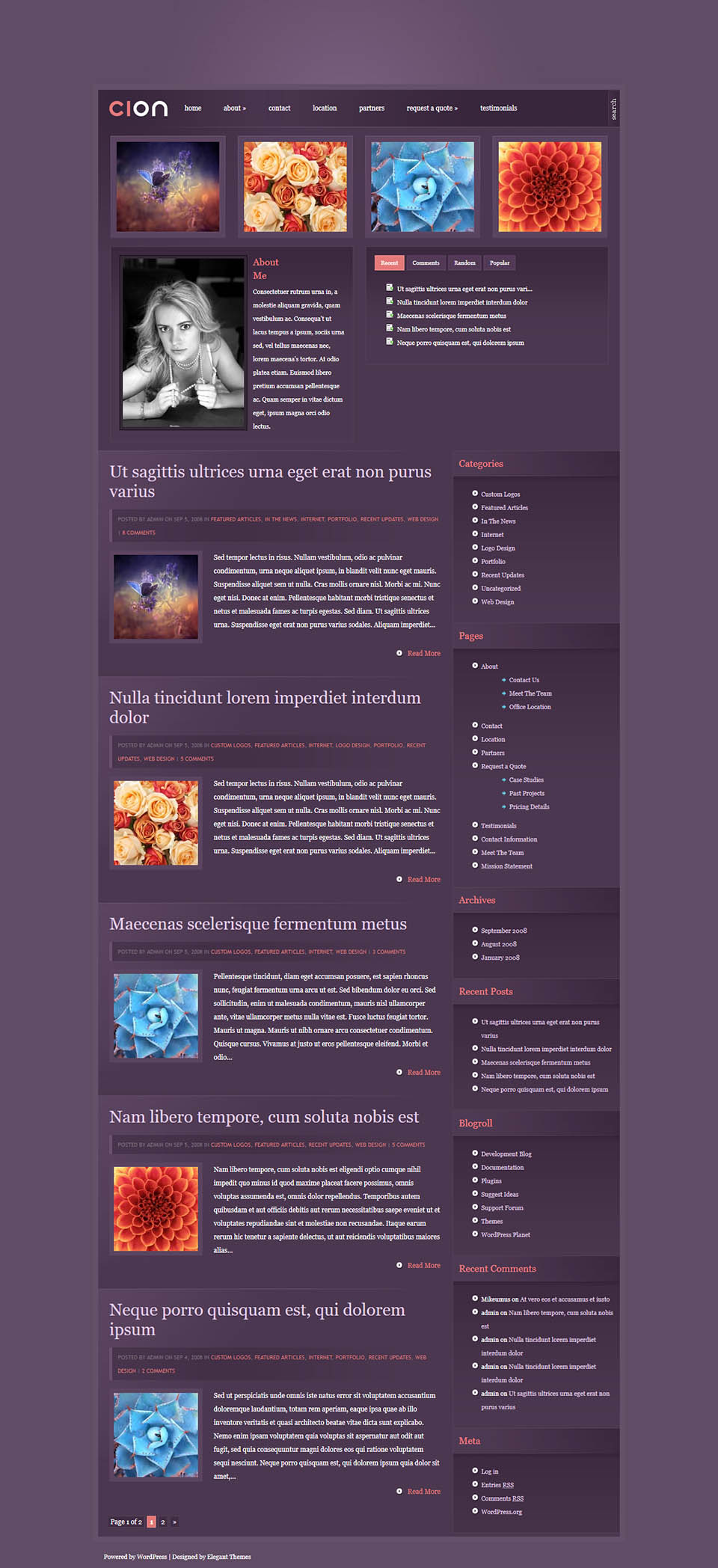 WordPress template ElegantThemes Cion