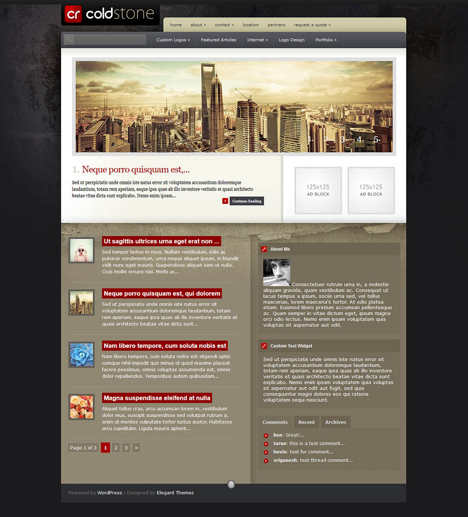 WordPress template ElegantThemes ColdStone