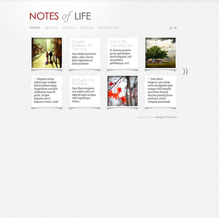 ElegantThemes DailyNotes