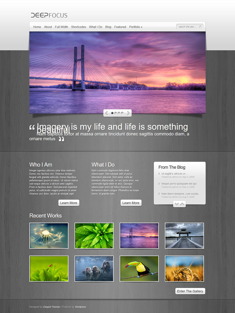 WordPress template ElegantThemes DeepFocus