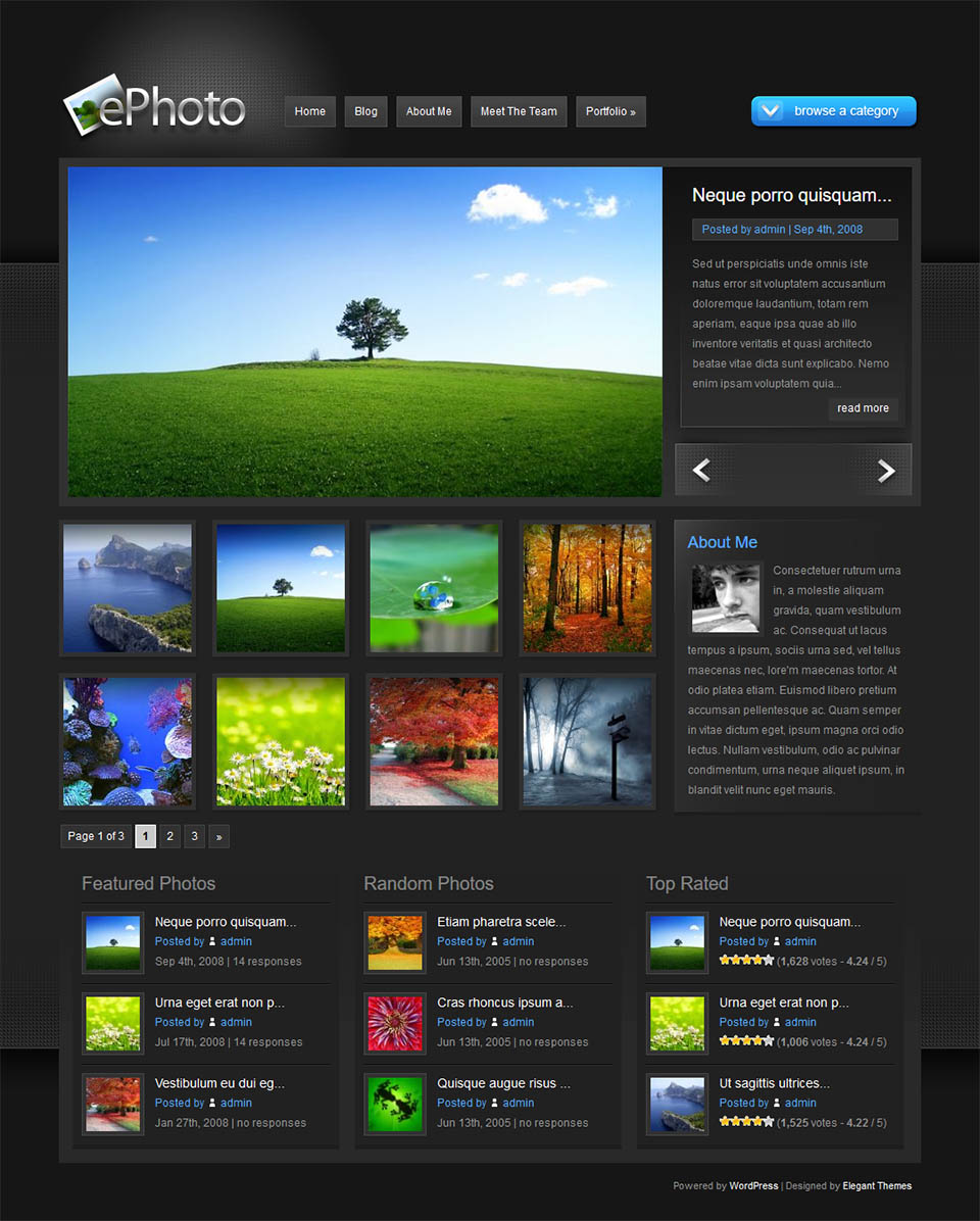 WordPress template ElegantThemes ePhoto