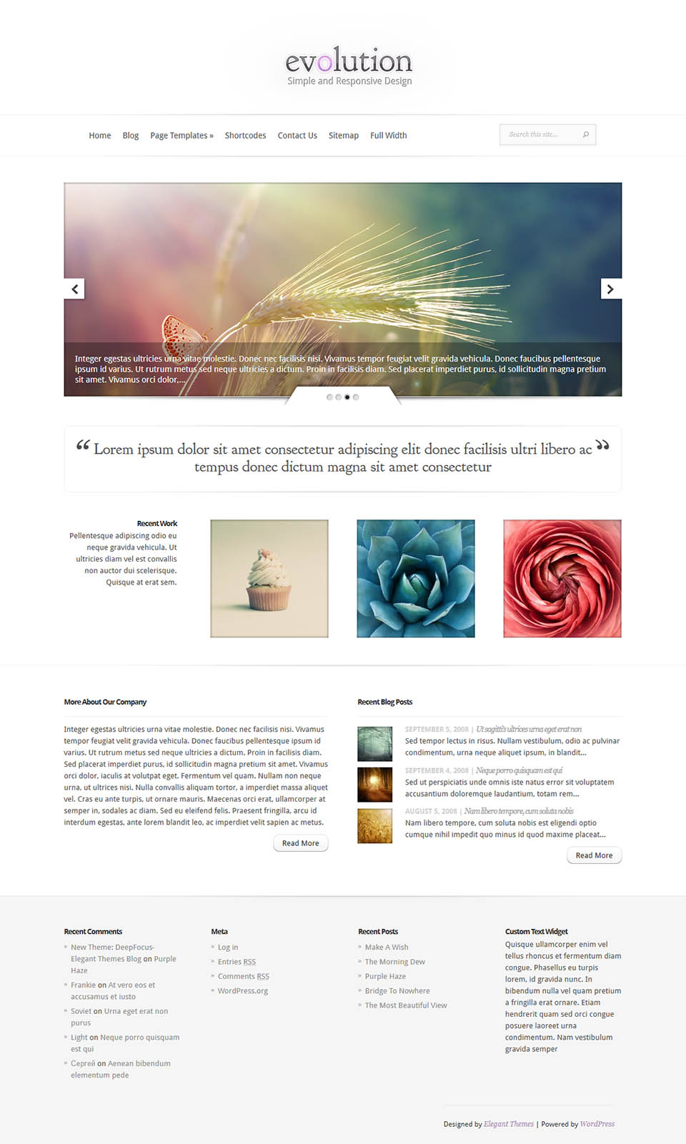 WordPress template ElegantThemes Evolution