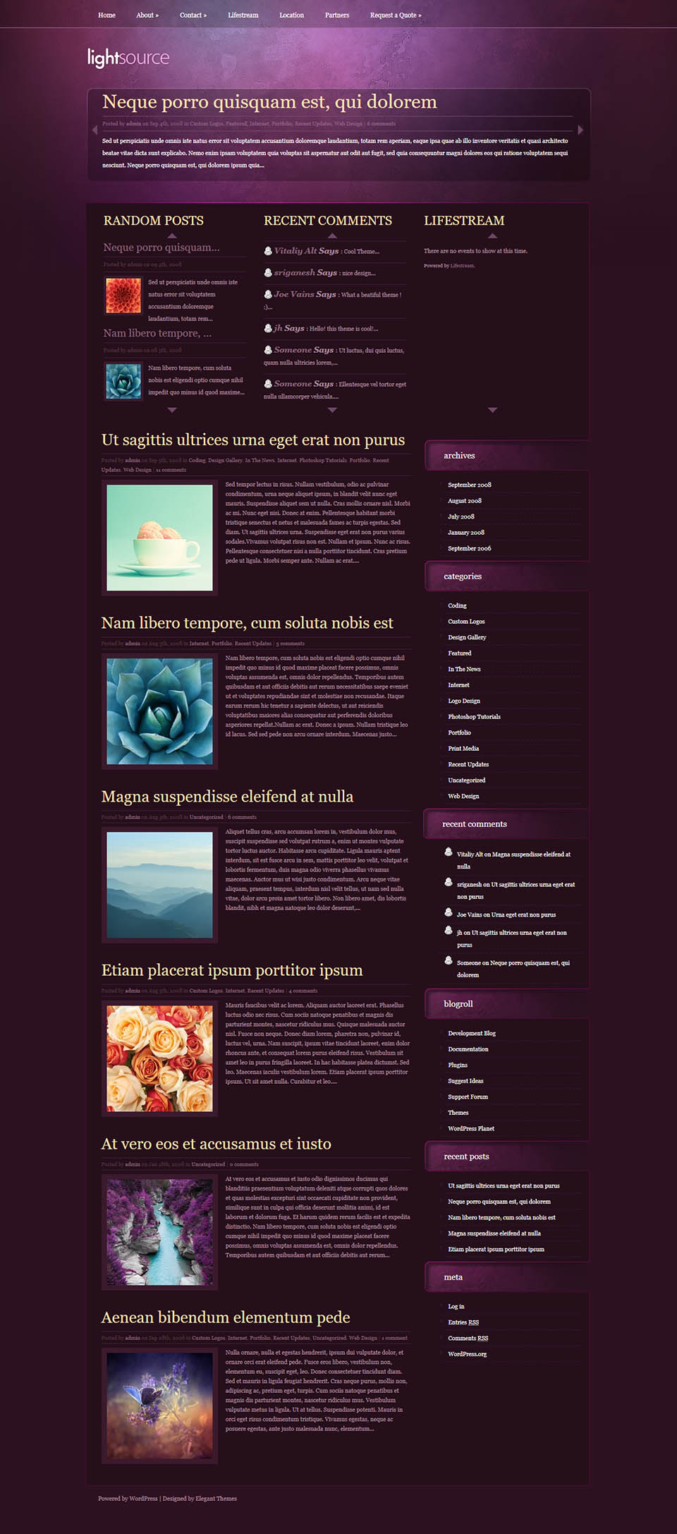 WordPress template ElegantThemes LightSource