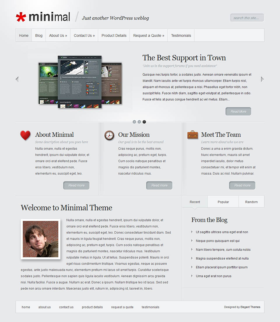 WordPress template ElegantThemes Minimal