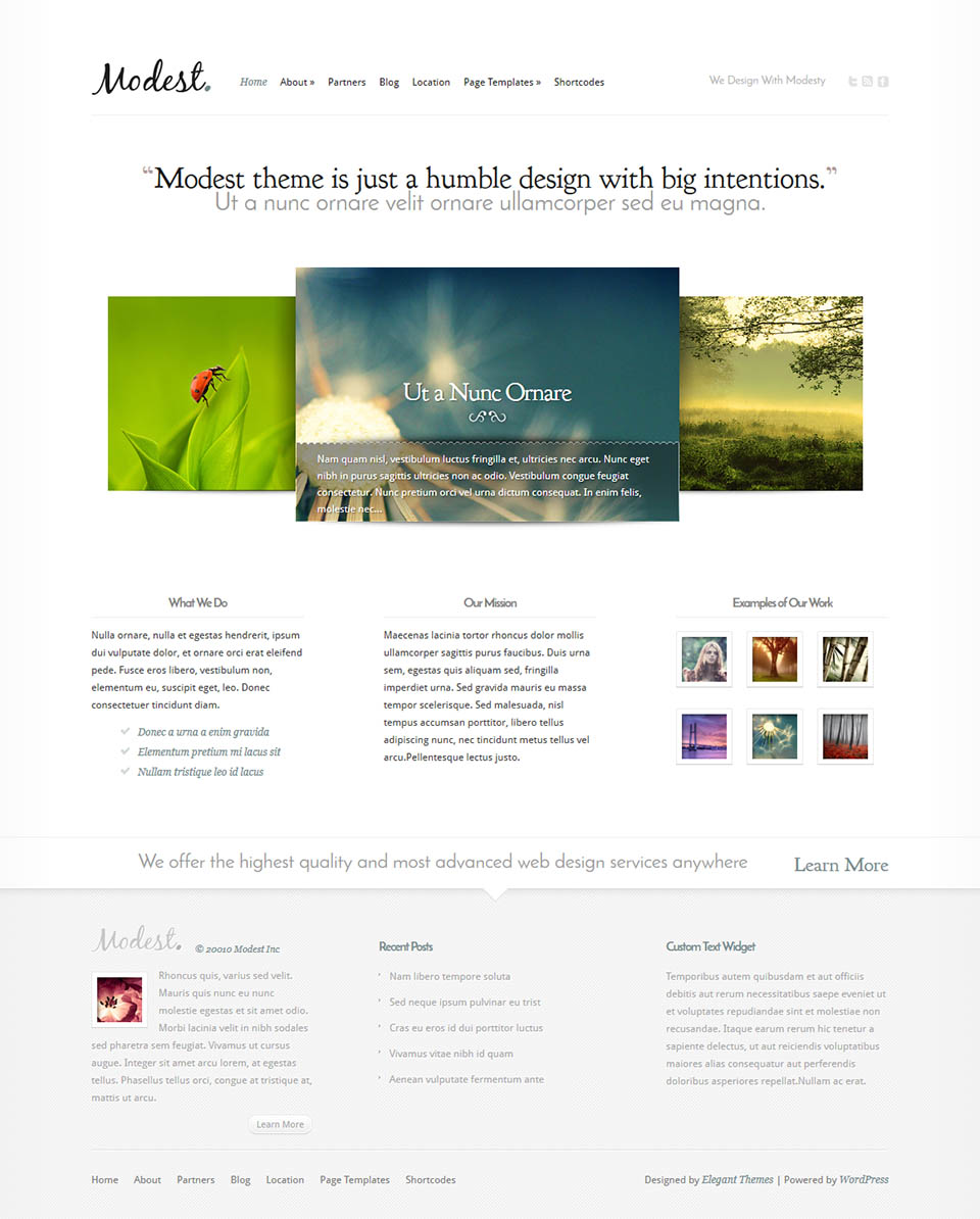 WordPress template ElegantThemes Modest