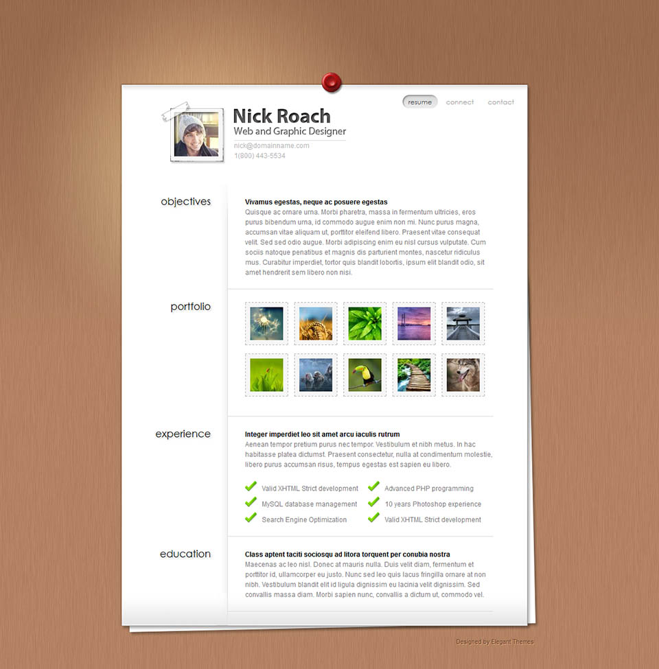 WordPress template ElegantThemes MyResume