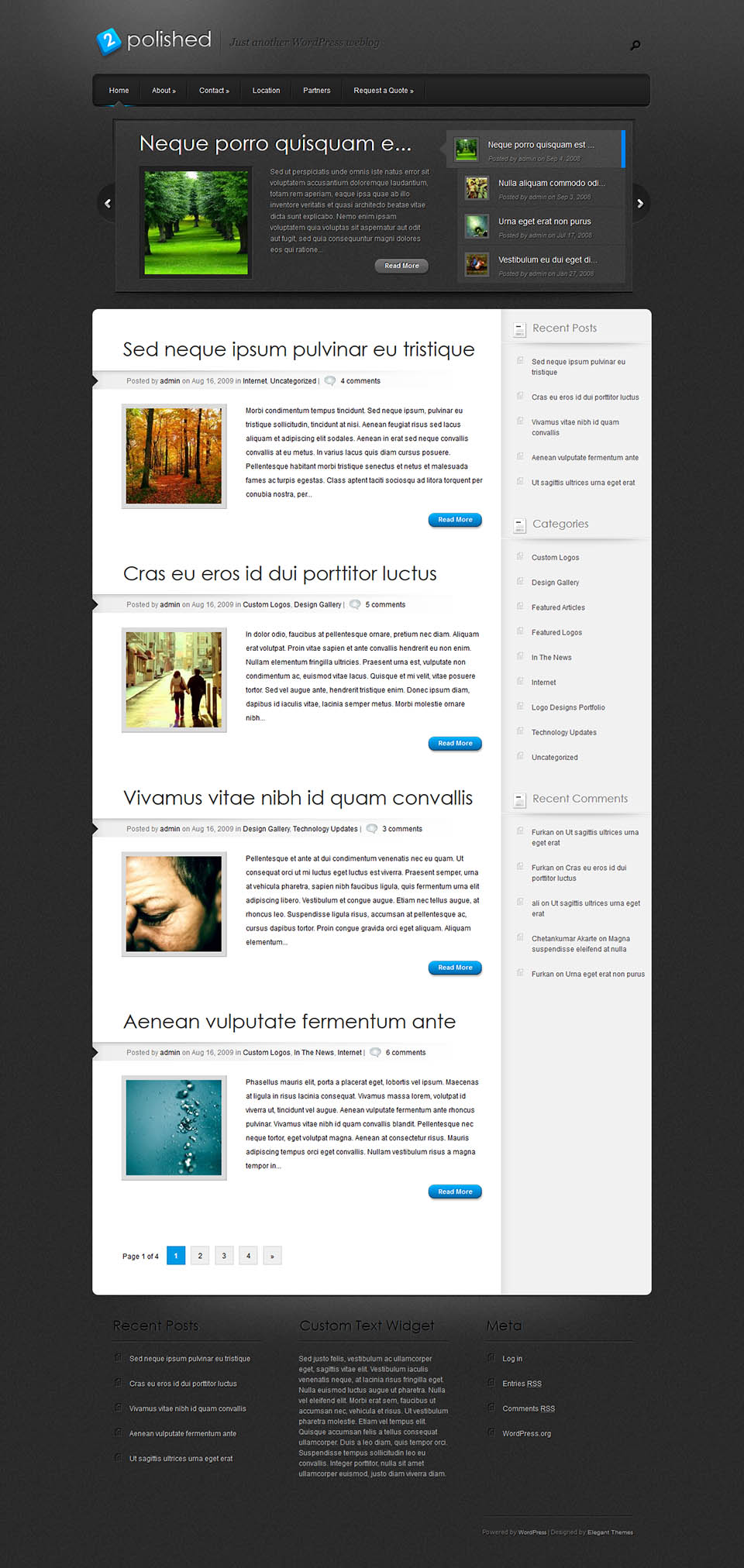 WordPress template ElegantThemes Polished