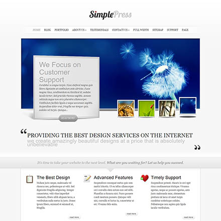 ElegantThemes SimplePress