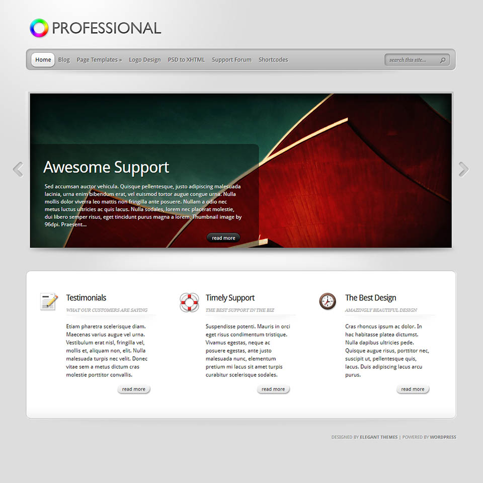 WordPress template ElegantThemes TheProfessional