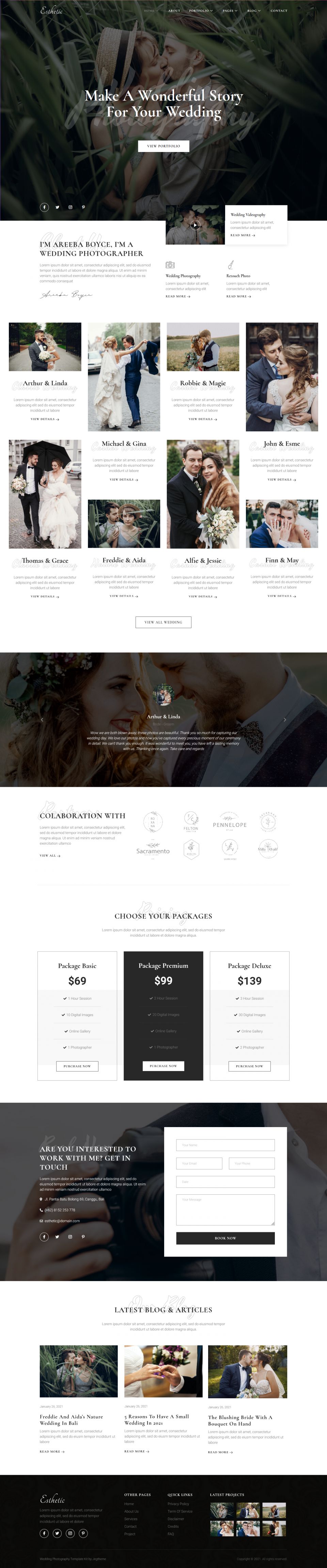 WordPress template ThemeForest Esthetic