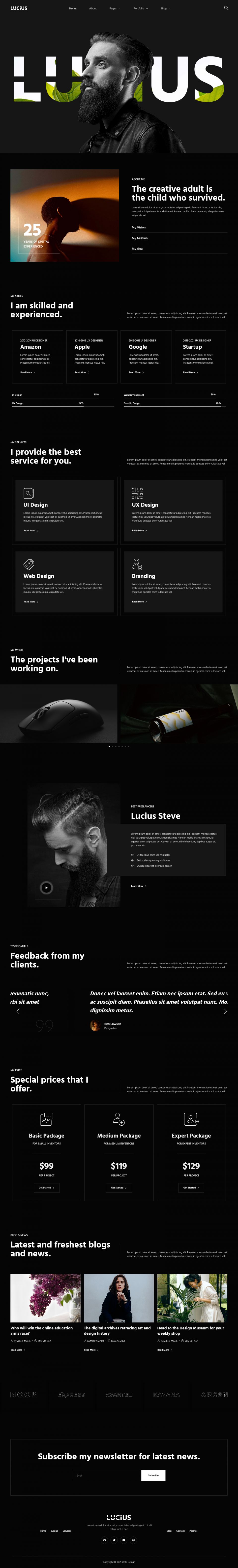 WordPress template ThemeForest Lucius