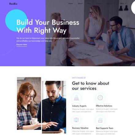 ThemeForest Rexbiz