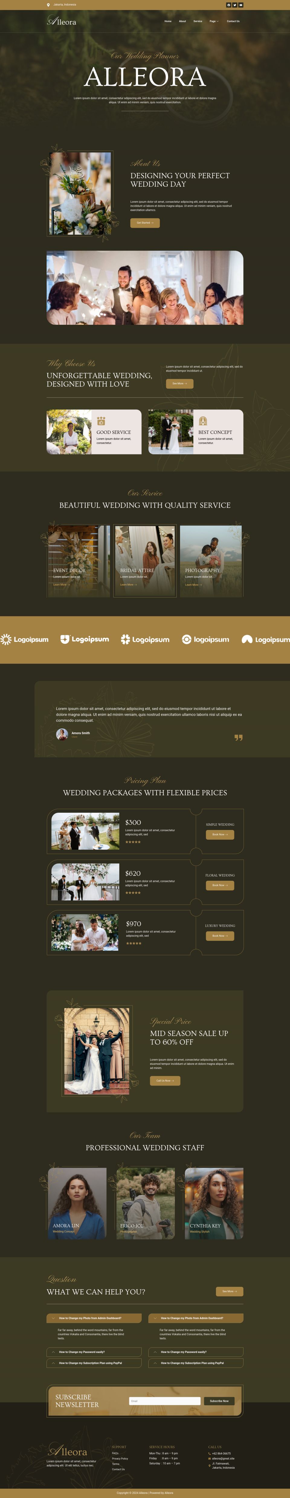 WordPress template ThemeForest Alleora