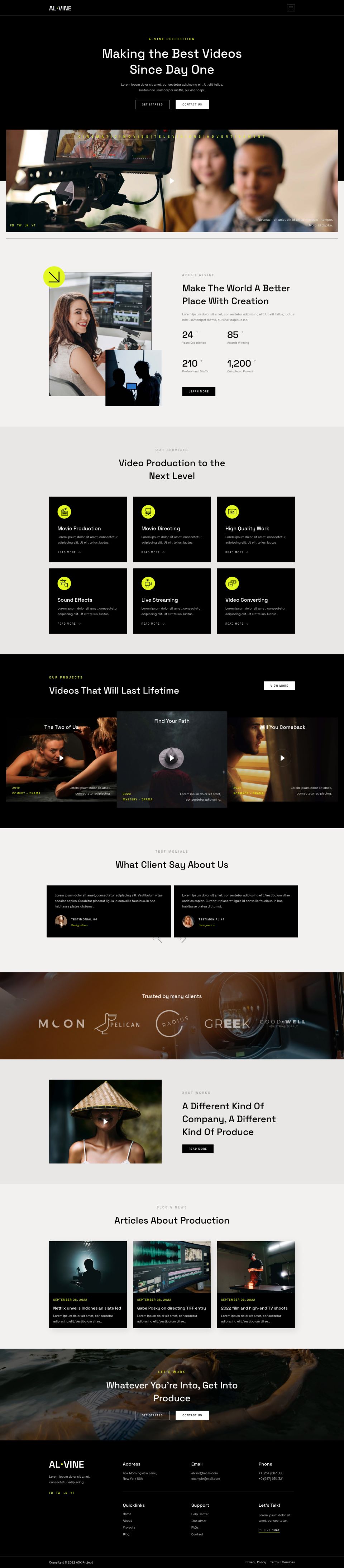 WordPress template ThemeForest Alvine