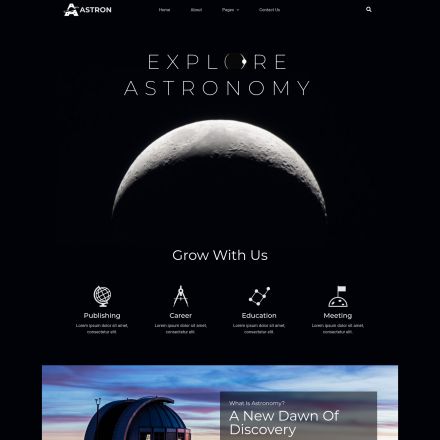 ThemeForest Astron