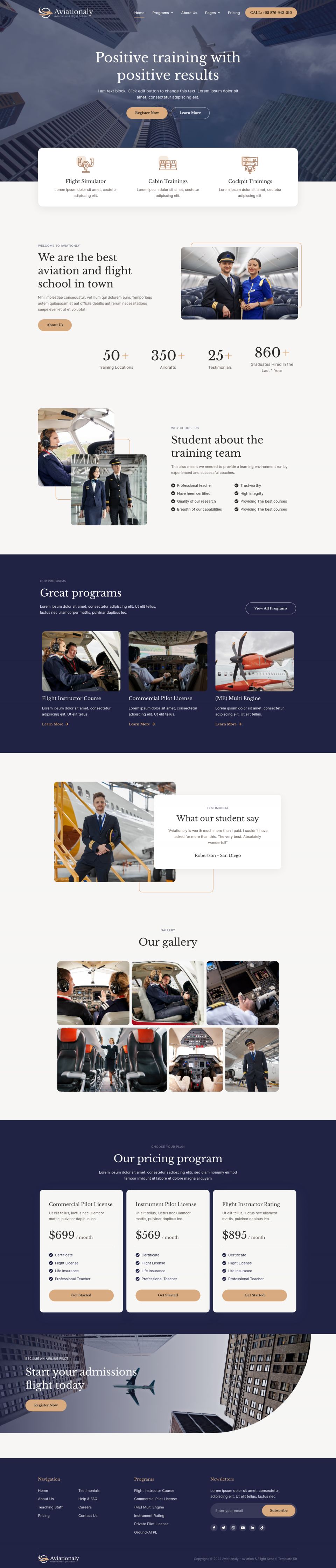 WordPress template ThemeForest Aviationaly