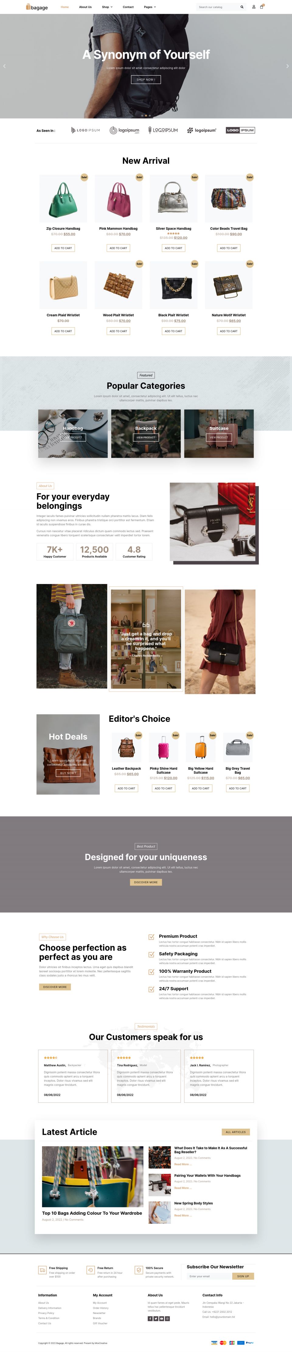 WordPress template ThemeForest Bagage