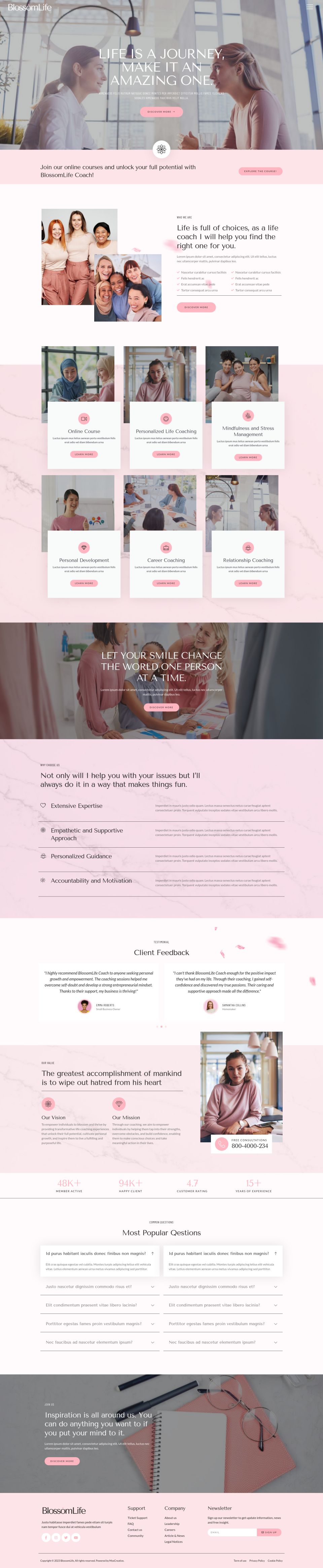 WordPress template ThemeForest BlossomLife