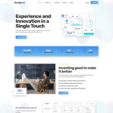 ThemeForest Burgeon